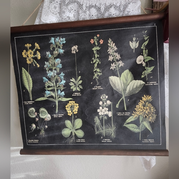 Botanical Print Wall Art Plants Flowers Wooden Trim - Picture 2 of 4